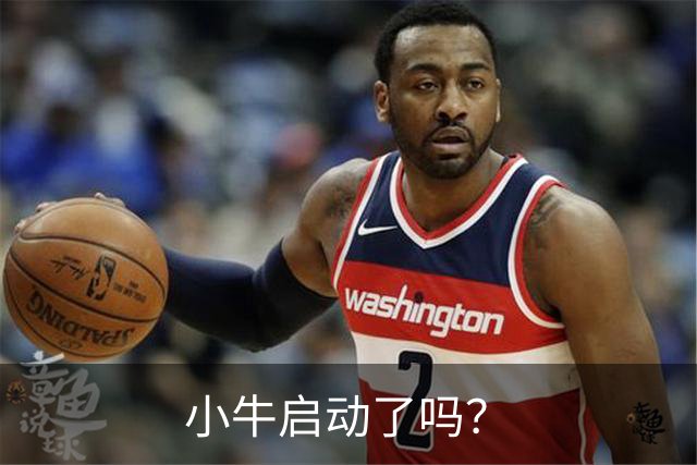 小牛启动了吗？